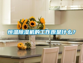 知識百科恒溫除濕機的工作原是什么？