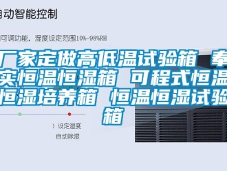 知識百科廠家定做高低溫試驗箱 奉實恒溫恒濕箱 可程式恒溫恒濕培養箱 恒溫恒濕試驗箱