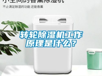 知識百科轉(zhuǎn)輪除濕機工作原理是什么？