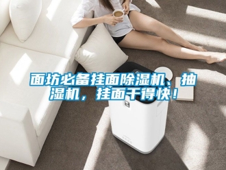 行業新聞面坊必備掛面除濕機、抽濕機，掛面干得快！