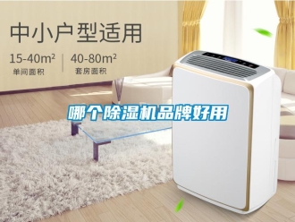 企業新聞哪個除濕機品牌好用