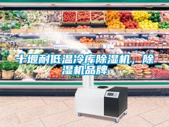 企業新聞十堰耐低溫冷庫除濕機，除濕機品牌