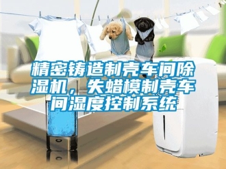 企業(yè)新聞精密鑄造制殼車間除濕機，失蠟模制殼車間濕度控制系統