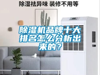 企業新聞除濕機品牌十大排名怎么分析出來的？