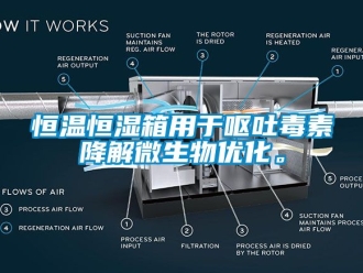 知識百科恒溫恒濕箱用于嘔吐毒素降解微生物優化。