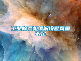 企業(yè)新聞工業(yè)除濕機(jī)緩解冷凝風(fēng)量不足