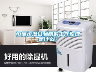 知識百科恒溫恒濕試驗箱的工作原理是什么？