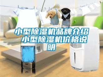 企業新聞小型除濕機品牌介紹 小型除濕機價格說明