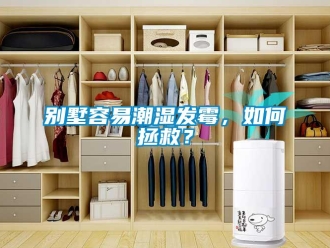 企業新聞別墅容易潮濕發霉，如何拯救？