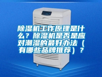 企業新聞除濕機工作原理是什么？除濕機是否是應對潮濕的最好辦法（有哪些品牌推薦）？