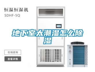 企業(yè)新聞地下室太潮濕怎么除濕