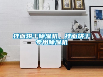 企業(yè)新聞掛面烘干除濕機(jī)，掛面烘干專用除濕機(jī)