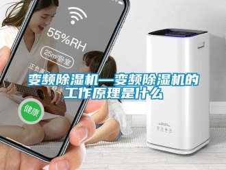 企業新聞變頻除濕機—變頻除濕機的工作原理是什么