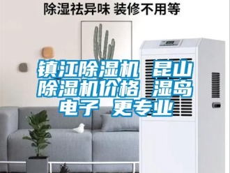 企業新聞鎮江除濕機 昆山除濕機價格 濕島電子 更專業