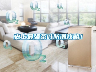 知識百科史上最強茶葉防潮攻略！