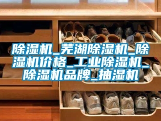 常見問題除濕機(jī)_蕪湖除濕機(jī)_除濕機(jī)價格_工業(yè)除濕機(jī)_除濕機(jī)品牌_抽濕機(jī)