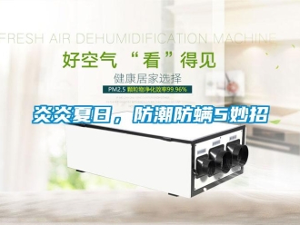 知識百科炎炎夏日，防潮防螨5妙招