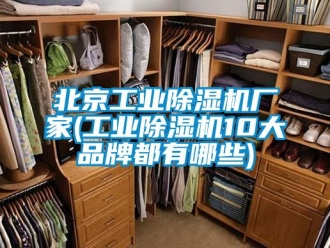 企業(yè)新聞北京工業(yè)除濕機廠家(工業(yè)除濕機10大品牌都有哪些)