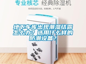 企業(yè)新聞地下車庫出現(xiàn)潮濕結(jié)露怎么辦？選用什么樣的防潮設(shè)備？