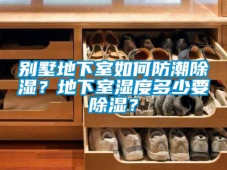 企業新聞別墅地下室如何防潮除濕？地下室濕度多少要除濕？