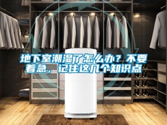 企業(yè)新聞地下室潮濕了怎么辦？不要著急，記住這幾個知識點