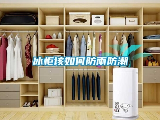 企業新聞冰柜該如何防雨防潮