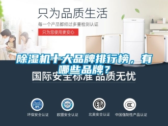 企業(yè)新聞除濕機(jī)十大品牌排行榜，有哪些品牌？