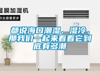 企業新聞都說海口潮濕、濕冷，那我們一起來看看它到底有多潮