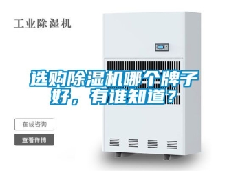 行業新聞選購除濕機哪個牌子好，有誰知道？