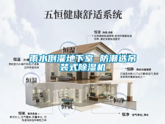 知識百科雨水倒灌地下室 防潮選吊裝式除濕機(jī)