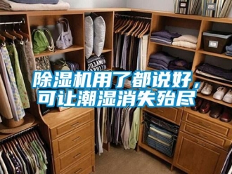 企業新聞除濕機用了都說好，可讓潮濕消失殆盡