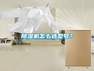 行業(yè)新聞除濕機(jī)怎么選型號？