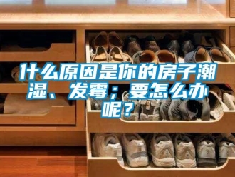 常見問題什么原因是你的房子潮濕、發(fā)霉；要怎么辦呢？