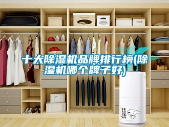 企業新聞十大除濕機品牌排行榜(除濕機哪個牌子好)