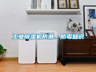 企業(yè)新聞工業(yè)除濕機(jī)防潮、防霉知識(shí)