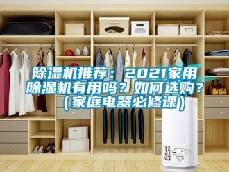 行業新聞除濕機推薦：2021家用除濕機有用嗎？如何選購？（家庭電器必修課）