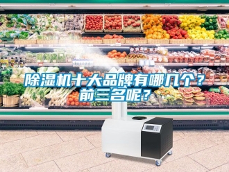 企業(yè)新聞除濕機(jī)十大品牌有哪幾個(gè)？前三名呢？