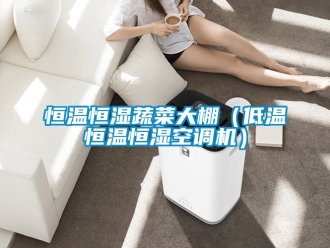 知識百科恒溫恒濕蔬菜大棚（低溫恒溫恒濕空調機）