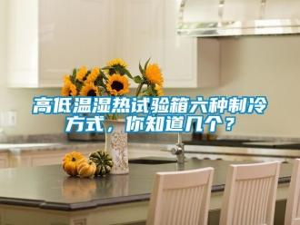 常見問題高低溫濕熱試驗(yàn)箱六種制冷方式，你知道幾個(gè)？