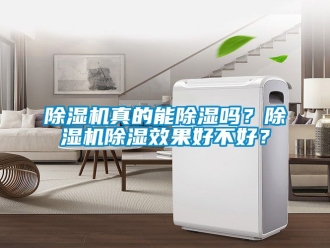 行業(yè)新聞除濕機(jī)真的能除濕嗎？除濕機(jī)除濕效果好不好？