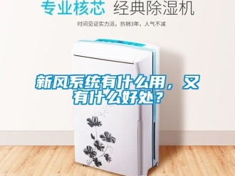 企業新聞新風系統有什么用，又有什么好處？