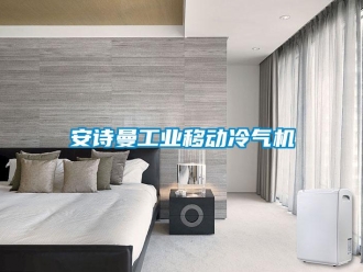 企業(yè)新聞安詩(shī)曼工業(yè)移動(dòng)冷氣機(jī)