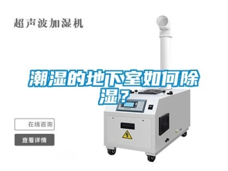 企業新聞潮濕的地下室如何除濕？