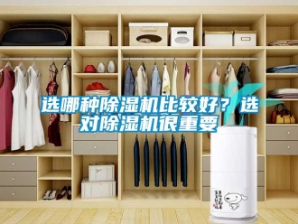 知識(shí)百科選哪種除濕機(jī)比較好？選對(duì)除濕機(jī)很重要