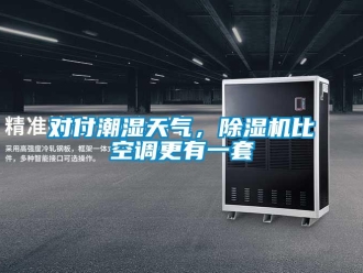 企業(yè)新聞對(duì)付潮濕天氣，除濕機(jī)比空調(diào)更有一套