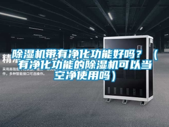 企業新聞除濕機帶有凈化功能好嗎？（有凈化功能的除濕機可以當空凈使用嗎）