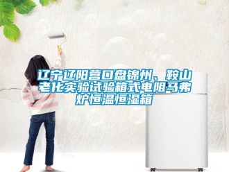 知識百科遼寧遼陽營口盤錦州、鞍山老化實驗試驗箱式電阻馬弗爐恒溫恒濕箱