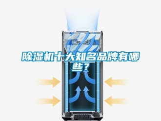 企業(yè)新聞除濕機(jī)十大知名品牌有哪些？