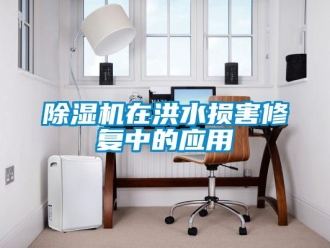 企業(yè)新聞除濕機(jī)在洪水損害修復(fù)中的應(yīng)用