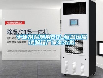 知識百科干燥劑檢測用80L恒溫恒濕試驗箱廠家怎么選